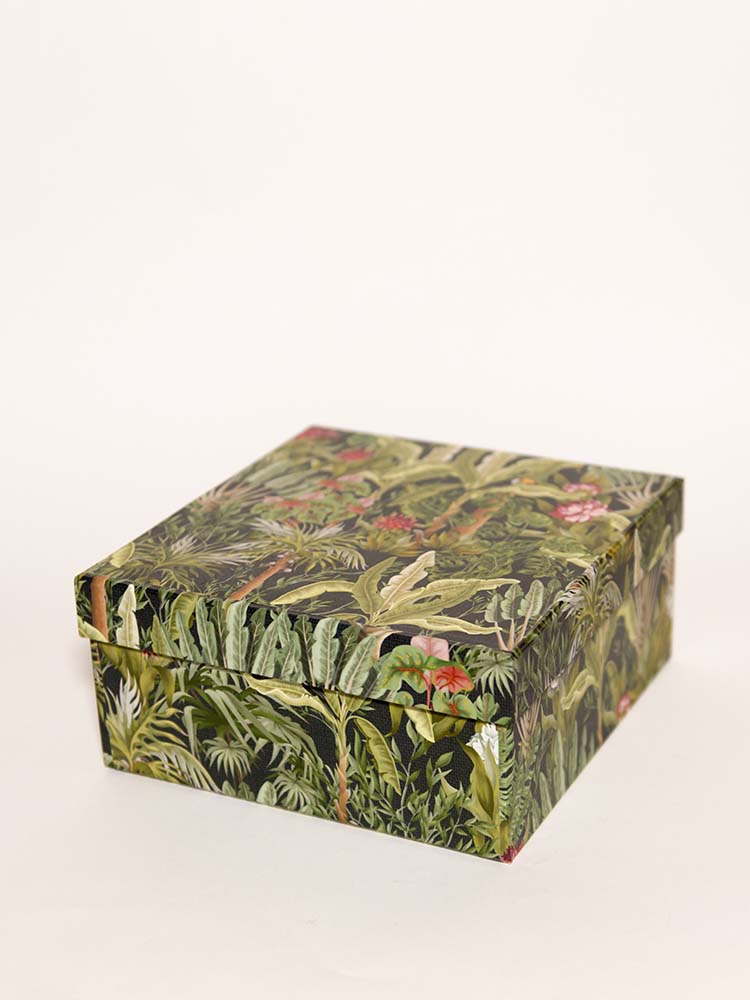 Scatola Jungle